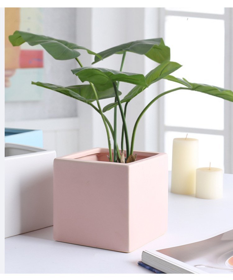 Minimalist Square Ceramic Planter 四方_12.jpg