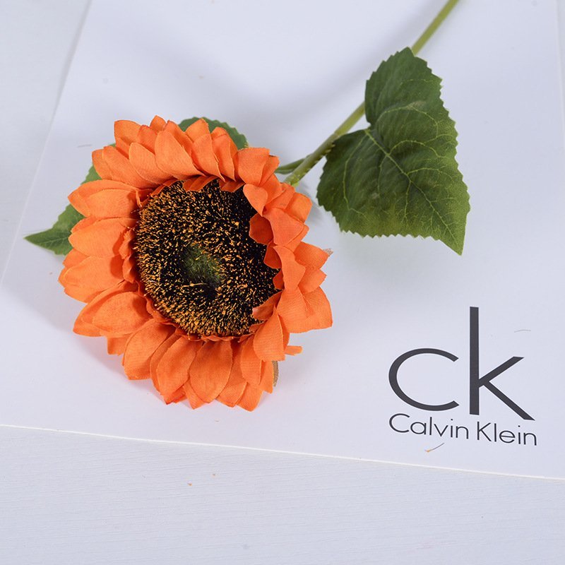 O1CN0183kIMq1Cvzms2YXg7 2209508470144 0 Cib